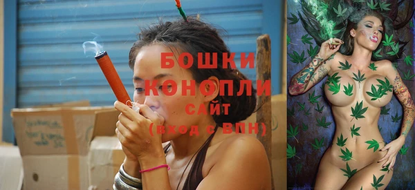 PSILOCYBIN Абаза