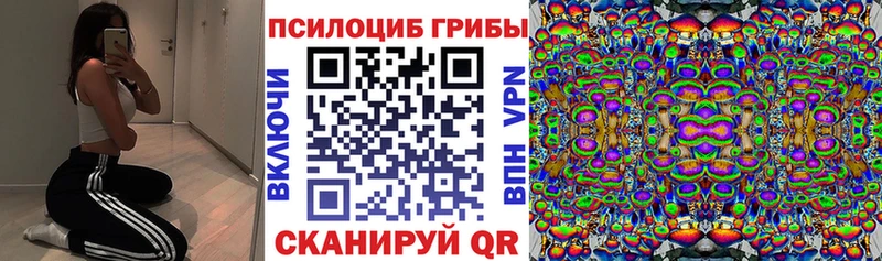 Псилоцибиновые грибы MAGIC MUSHROOMS  площадка формула  Зеленокумск  цены  